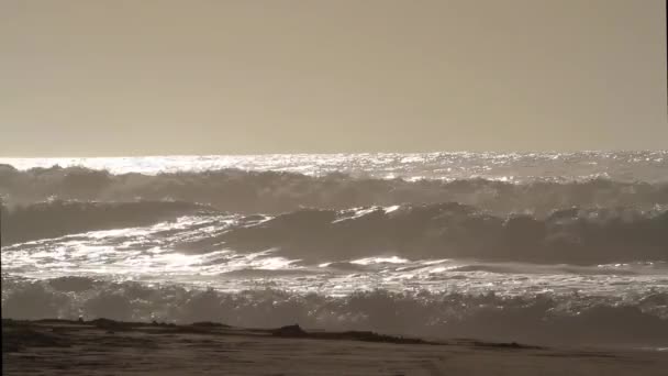 Close Filmagem Ondas Entrantes Rolando Direção Praia Areia Dia Ensolarado — Vídeo de Stock