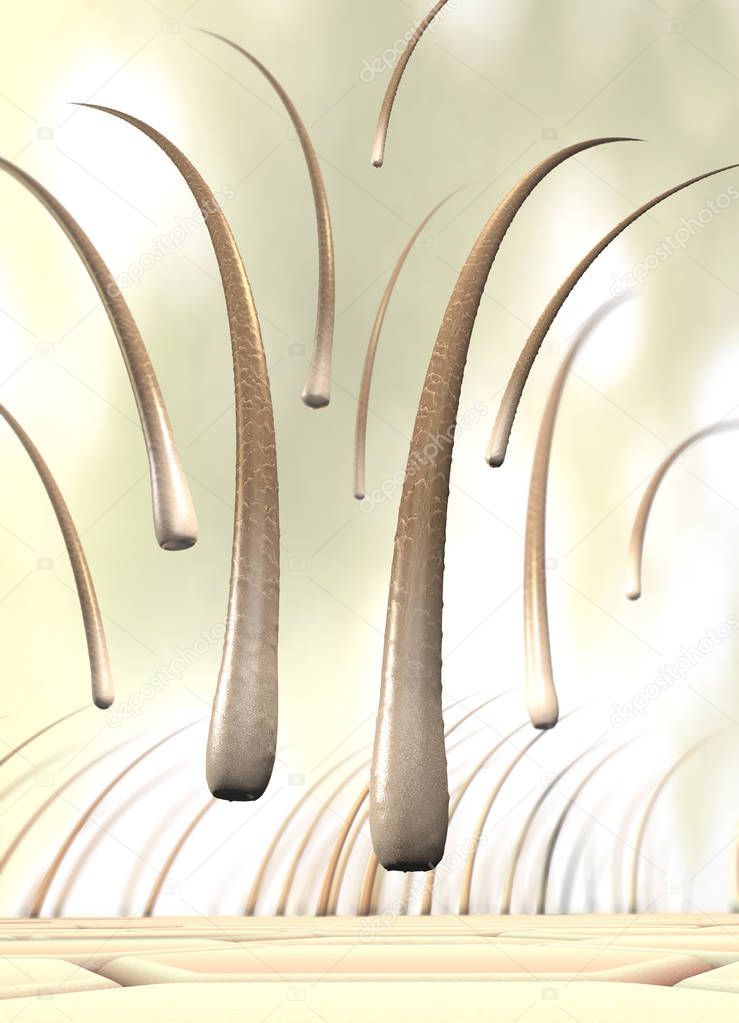 3d illustration of several falling hairs that detach from the skin called hair loss