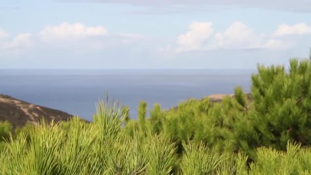 針葉樹の緑と青空と雲と大西洋に向かって緑の風景を見る — ストック動画