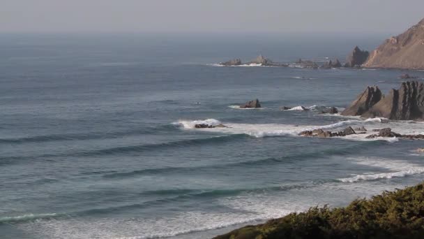 水の中のサーファーは 霧の空や背景の崖とビーチに近い — ストック動画
