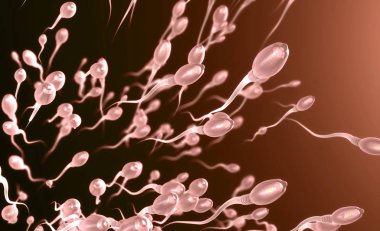 3d illustration of sperm cells or spermatozoon moving to the right clipart