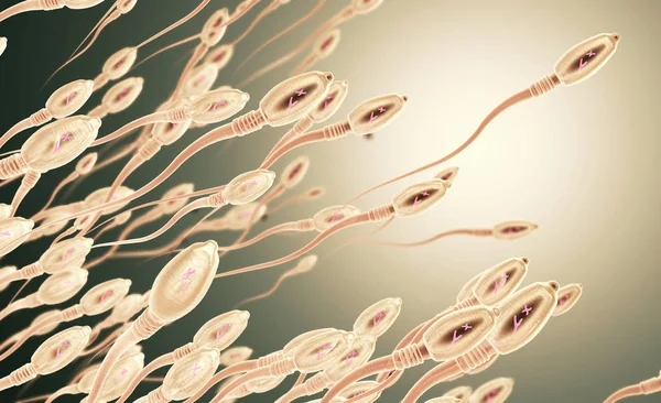 Illustration Sperm Cells Spermatozoon Moving Right — Stock Photo, Image