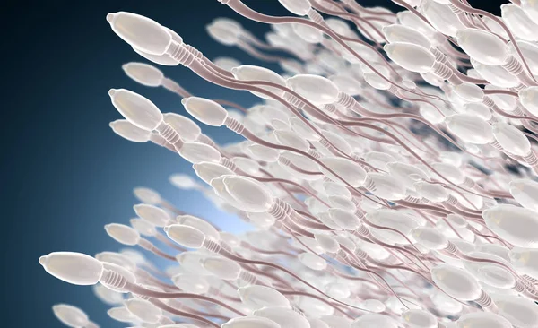 精子细胞或精子移动到左侧的图示 — 图库照片