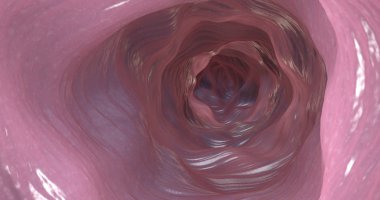 3d illustration of the inner side of the colon or intestinal tract clipart