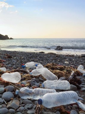 Atlantik kıyı şeridi veya Kuzey İspanya çevre kirletici plaj plastik şişe içki yıkanmış