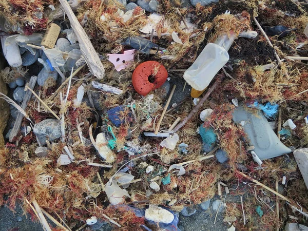 Plastik Atık Atlantik Okyanusu Kıyısında Yıkanmış Organik Beach Ürünler Ile — Stok fotoğraf