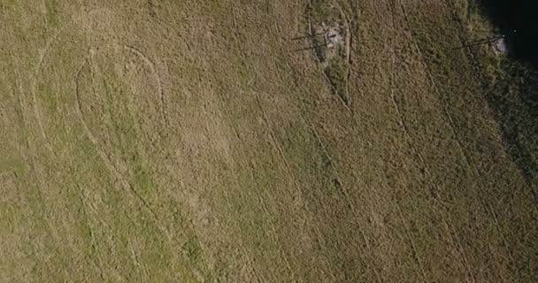 大きな木と林縁の草原や野原の上高架道路のビューまたは無人機の空中映像 — ストック動画