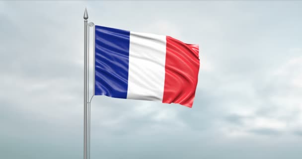 Illustration State Flag French Republic Moving Wind Flagpole Front Cloudy — Stock Video