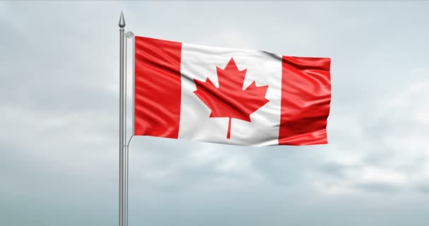 Illustration State Flag Canada Moving Wind Flagpole Front Cloudy Sky — Stock Video