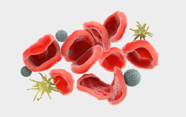 3D çizimi çok yakından kırmızı, denilen eritrositler, lökosit ve trombosit, beyaz kan hücreleri, thrombocytes adı verilen insan vücudunda gözlenen