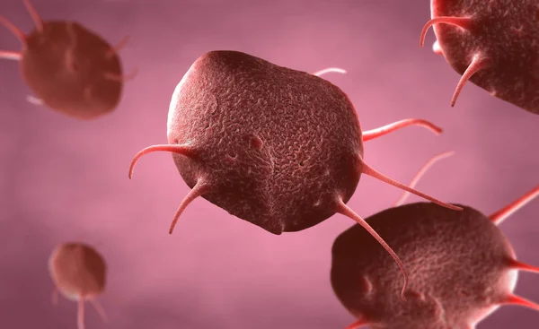 Aktif Bir Trombosit Çizimi Olarak Adlandırılır Thrombocytes Şifa Yaraların Kapanması — Stok fotoğraf