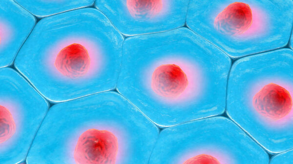 3d illustration of a top view on blue cell pattern with red cell nucleus