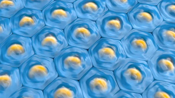 Üstten Görünüm Mavi Hücre Desen Sarı Hücre Çekirdeği Ile Çizimi — Stok fotoğraf