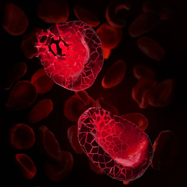 红血球分解成部分的三维例证 — 图库照片