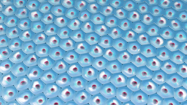 3d illustration of a top view on blue cell pattern with yellow cell nucleus