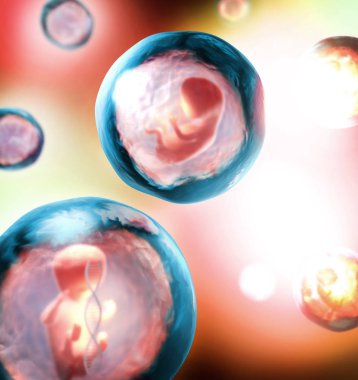 doğmamış bir 3D çizimi bir Dna dizisi ile şeffaf bir kabarcığın içine embriyo genetik olarak değiştirilmiş