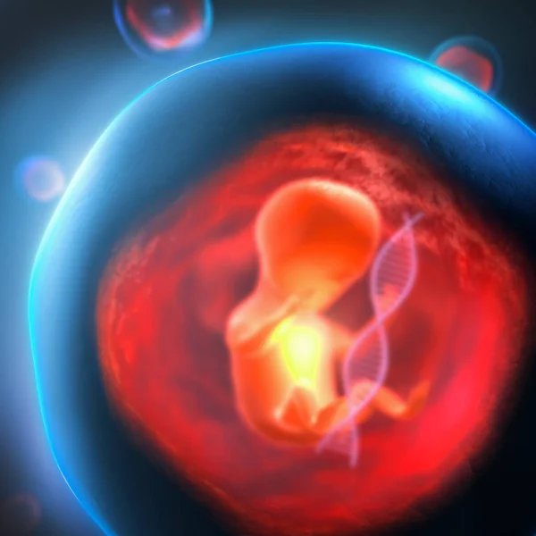 Иллюстрация Нерожденного Генетически Модифицированного Эмбриона Застрявшего Прозрачном Пузыре Ниткой Днк — стоковое фото
