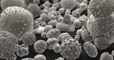 3d illustration of many different pollen bodies in black and white clipart