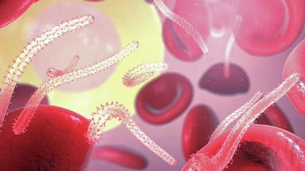 3D obrázek viru Ebola, způsobují virové hemoragické horečky v krvi s červených a bílých krvinek — Stock fotografie