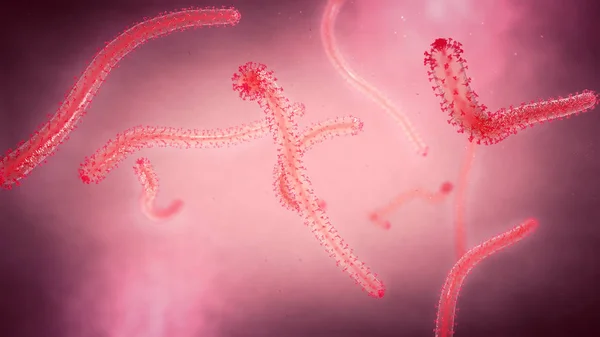 3d illustrazione di una visione ravvicinata di alcuni agenti patogeni della febbre ebola torcenti — Foto Stock