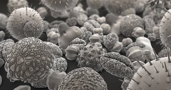 3d illustration of many different pollen bodies in black and white — Stock Photo, Image