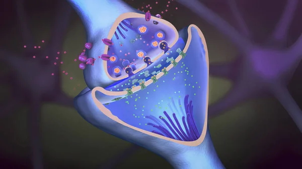 3D απεικόνιση της επιστημονικής λειτουργίας των συνάψεων ή μια νευρωνική σύνδεση με ένα κύτταρο νεύρων — Φωτογραφία Αρχείου