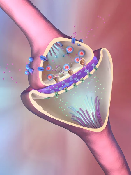 3d ilustración de la función científica de una sinapsis o conexión neuronal con una célula nerviosa — Foto de Stock