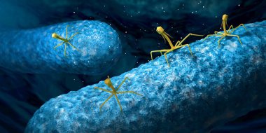 Bacteriophage or phage virus attacking and infecting a bacteria - 3d illustration clipart