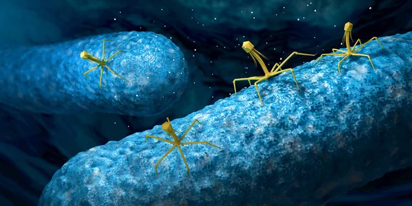 Бактериофаг или фаговый вирус, атакующий и заражающий бактерии - 3d иллюстрация — стоковое фото