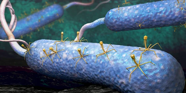 Bacteriophage lub fagów wirus atakuje i infekowania ilustracja - 3d bakterii — Zdjęcie stockowe