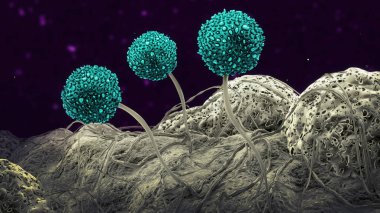Üç kalıp sporlar-3D illüstrasyon