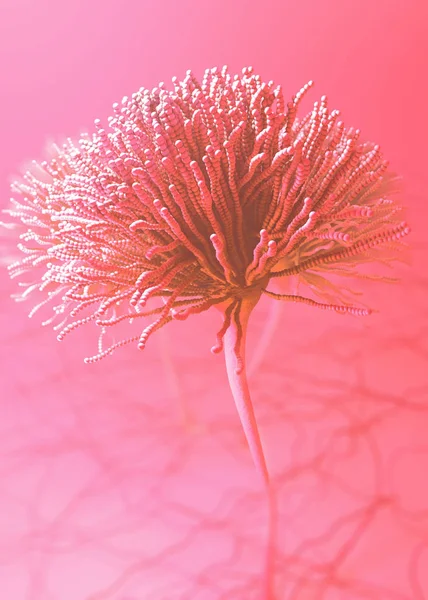 성장 몰드 또는 곰 팡 이와 포자의 현미경 이미지-3d 그림 — 스톡 사진