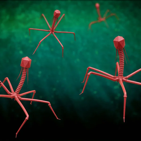 Bakteriofag atau virus fagge berwarna merah pada latar belakang hijau - ilustrasi 3d — Stok Foto