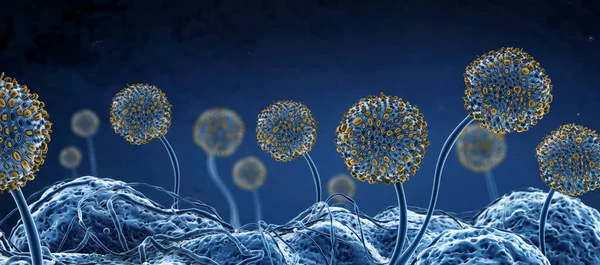 生长中的霉菌或霉菌和孢子的显微图像-3d 插图 — 图库照片