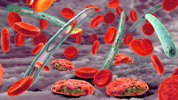 Malaria-Erreger verursacht Malariakrankheit und Blutzellen gelangen in den Blutkreislauf - 3D-Illustration — Stockfoto