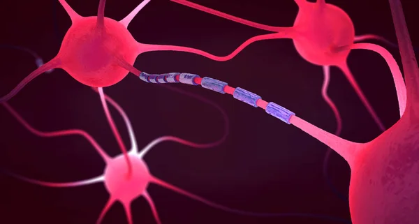 Células Nerviosas Neuronas Conectadas Ilustración — Foto de Stock