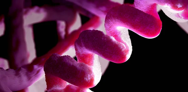 Łańcuch Aminokwasów Lub Biokwasów Zwanych Białkami Ilustracja — Zdjęcie stockowe