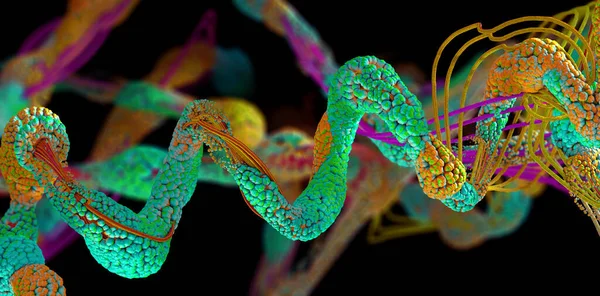 氨基酸或称为蛋白质的生物分子链 3D图例 — 图库照片