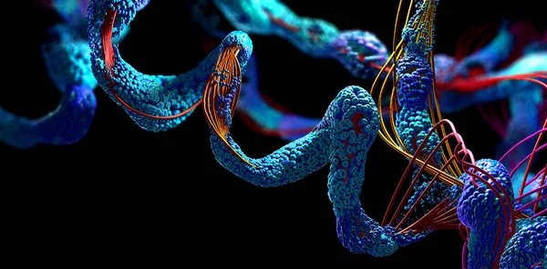 Kette Von Aminosäuren Oder Biomolekülen Protein Genannt Illustration Stockbild