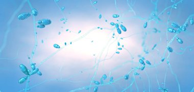 Büyüyen dermatophyte mantarlarına yakın çekim cilt hastalıklarına neden olur - 3 boyutlu illüstrasyon