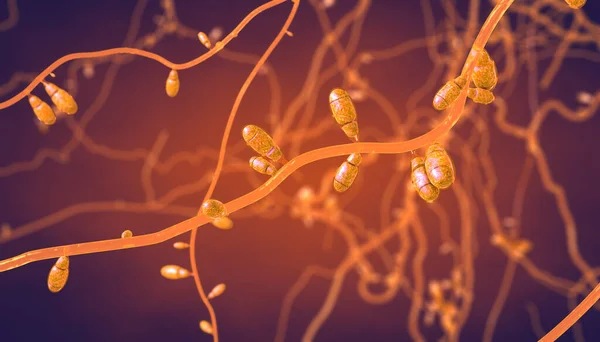 Büyüyen dermatophyte mantarlarına yakın çekim cilt hastalıklarına neden olur - 3 boyutlu illüstrasyon