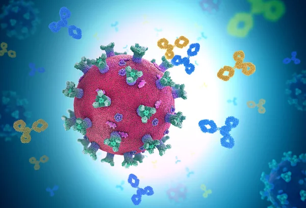 Immunoglobulin or antibody proteins attack a corona virus pathogen cell - 3d illustration
