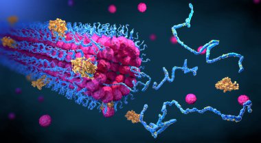 Protein enzimleri işlevlerini yerine getirmek için yapılarına katlanırlar - 3d illüstrasyon