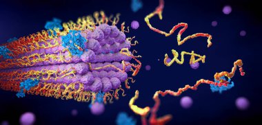 Protein enzimleri işlevlerini yerine getirmek için yapılarına katlanırlar - 3d illüstrasyon