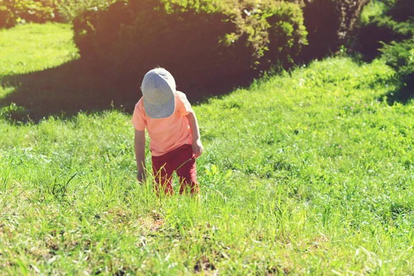 Küçük Bir Çocuk Bahçe Böcekler Yakalamak Yaz Tatil Aktiviteleri — Stok fotoğraf