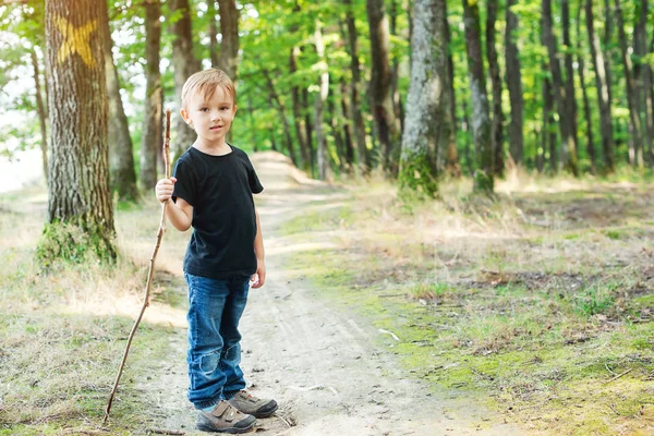 Pequeño Niño Lindo Disfrutar Caminar Divertirse Bosque Día Soleado — Foto de Stock