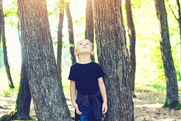 Bonito Menino Loiro Brincando Entre Troncos Árvore Parque Ensolarado — Fotografia de Stock