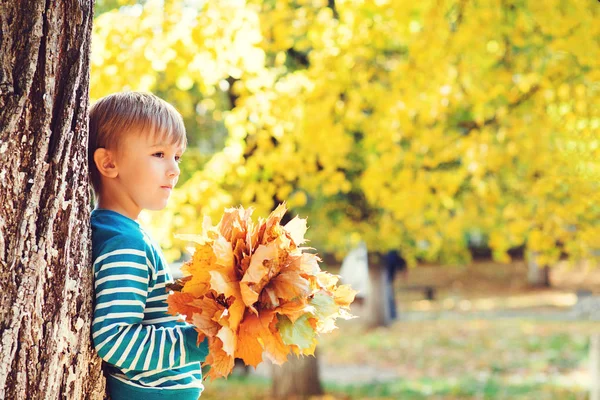 Schattige Kleine Jongen Spelen Het Najaar Natuur Wandeling Jongen Houdt — Stockfoto