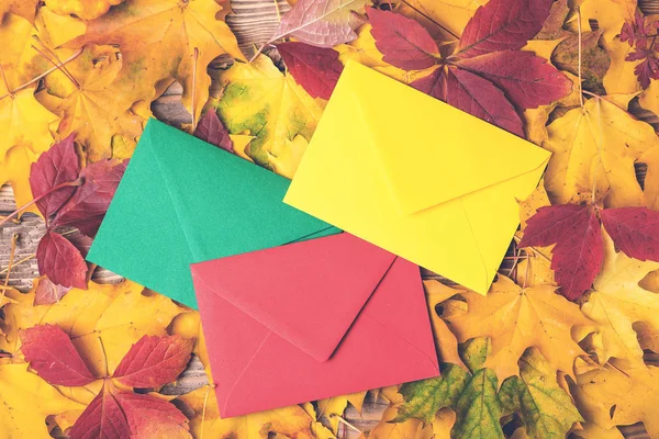 Enveloppes Colorées Sur Fond Feuilles Automne Concept Vacances Automne Lettre — Photo