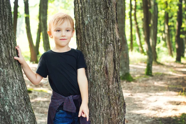 Niño Feliz Parado Entre Árboles Bosque Vacaciones Familiares Verano Feliz — Foto de Stock